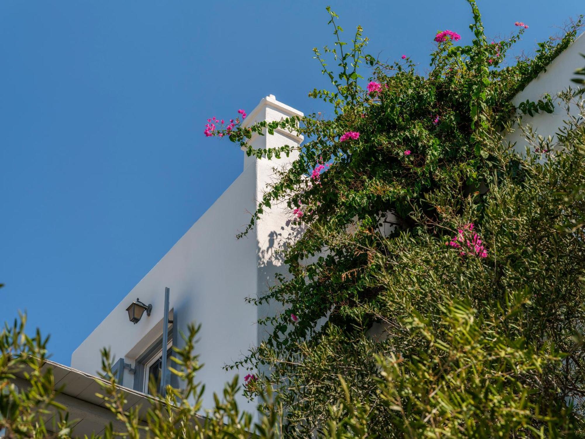 Baybees Sea View Residence Platys Gialos  Bagian luar foto